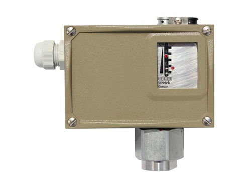 天津潤(rùn)滑脂壓力開(kāi)關(guān)行業(yè)專(zhuān)家在線為您服務(wù)